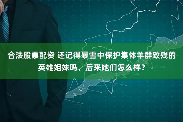 合法股票配资 还记得暴雪中保护集体羊群致残的英雄姐妹吗，后来她们怎么样？